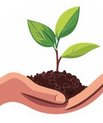 Illustration of a hand holding a seedling