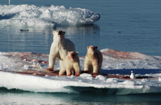 Foto: Peter Bondo Christensen